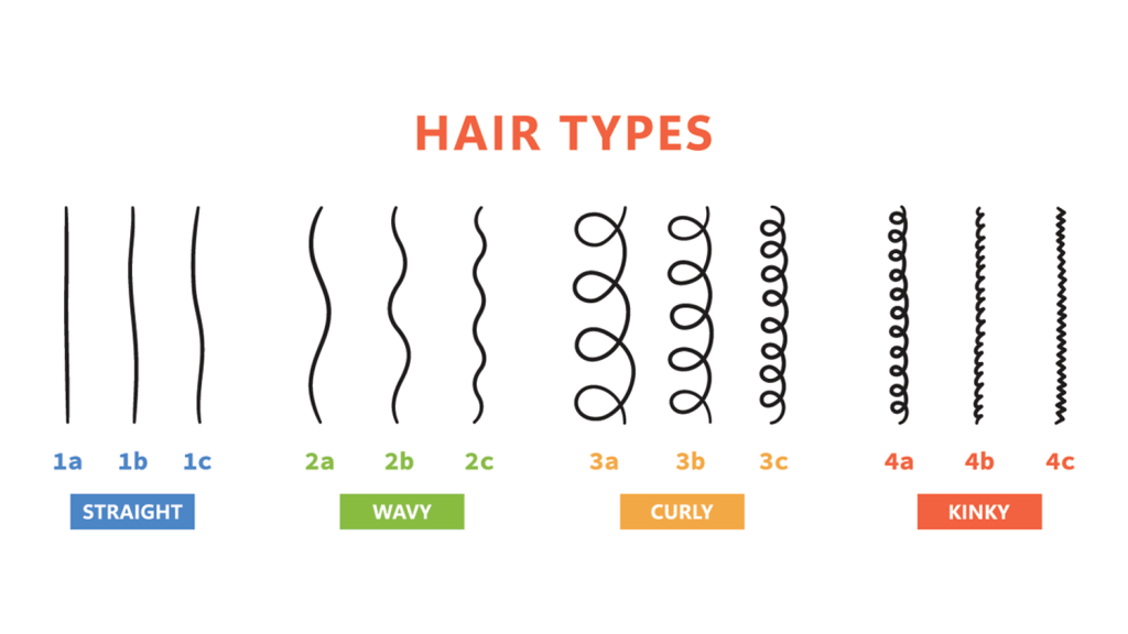 hair typing system diagram
